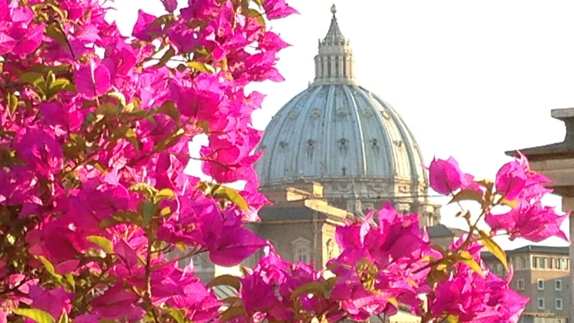 Hotel Dei Consoli Vaticano Rom